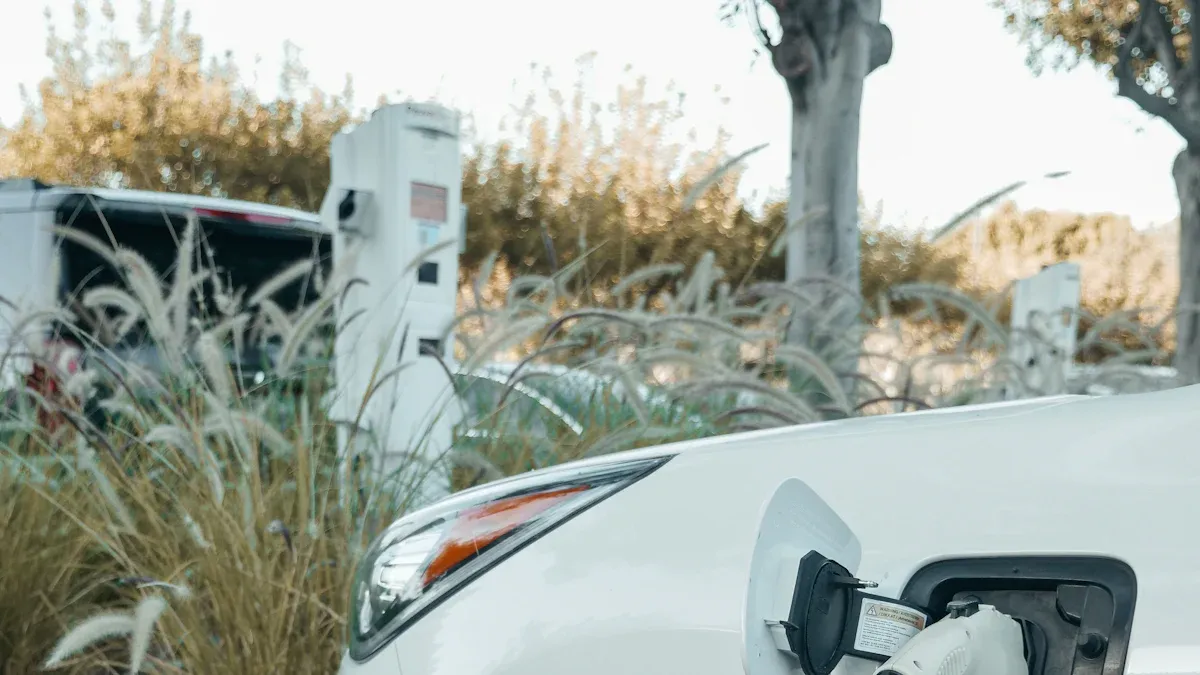 Is a Level 1 Charger Enough for Daily Commuting in Santiago, Chile? 3 Using Santiago