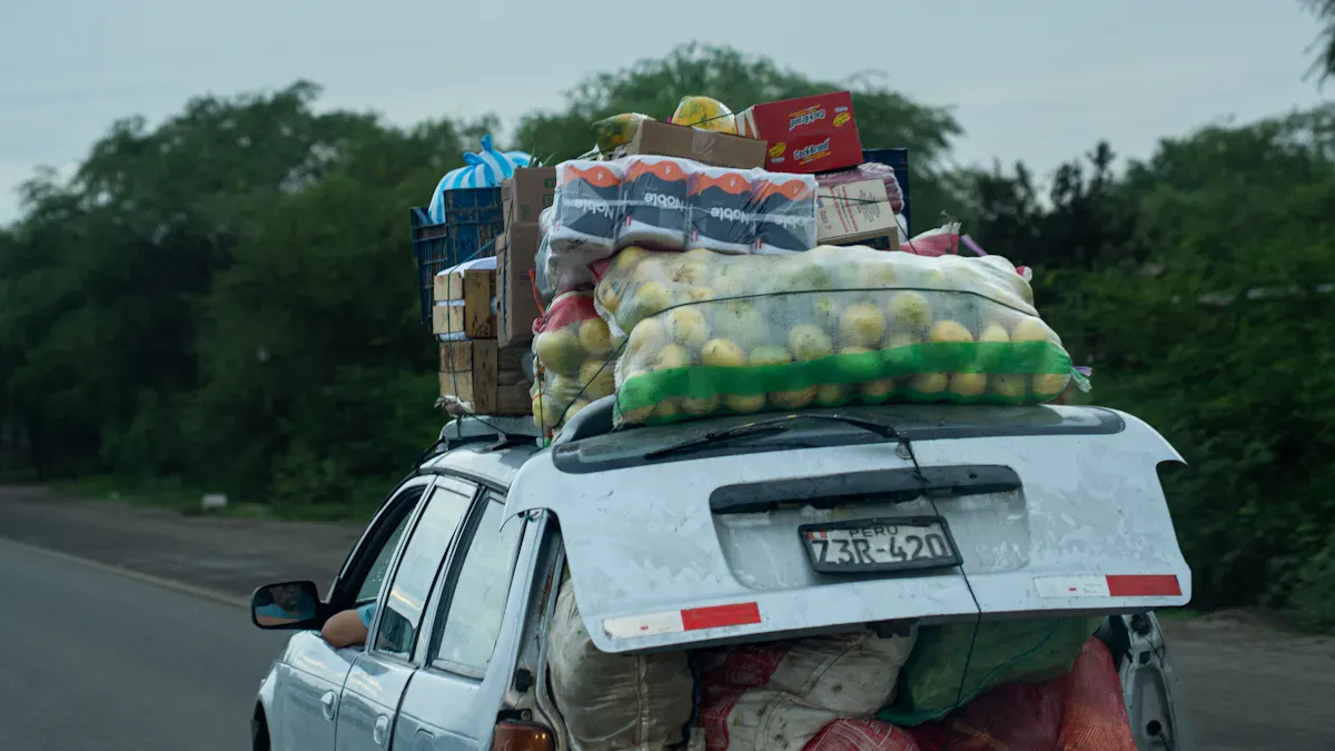 Common Scenarios for Using a Portable EV Charger in Peru